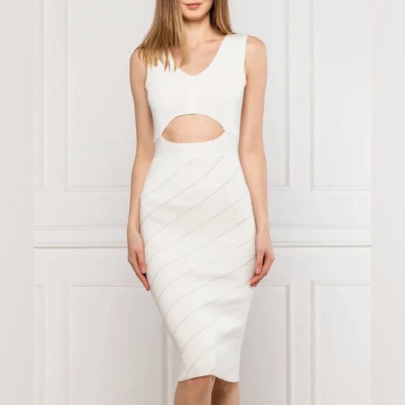 PINKO NAURU DRESS NWT - Picture 2 of 5